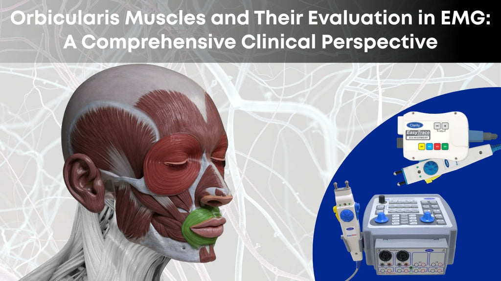 Orbicularis Muscles and Their Evaluation in EMG: A Comprehensive Clinical Perspective